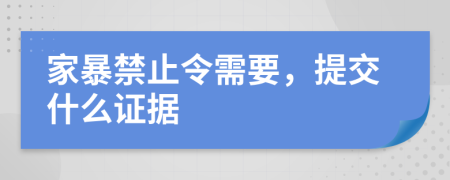 家暴禁止令需要，提交什么证据