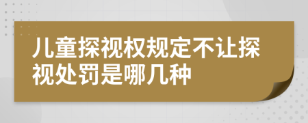 儿童探视权规定不让探视处罚是哪几种