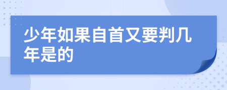 少年如果自首又要判几年是的