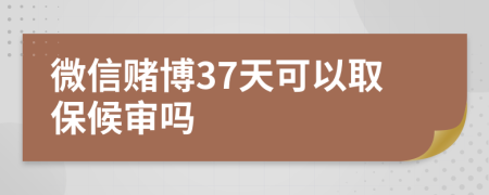 微信赌博37天可以取保候审吗