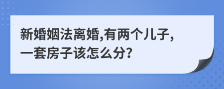 新婚姻法离婚,有两个儿子,一套房子该怎么分？