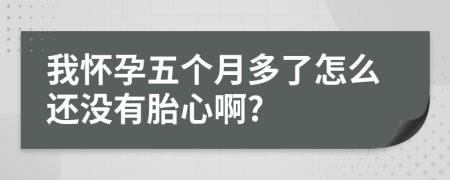 我怀孕五个月多了怎么还没有胎心啊?
