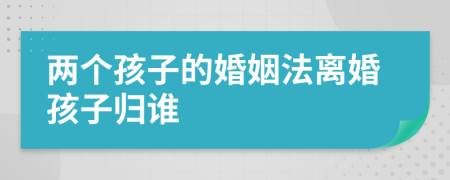 两个孩子的婚姻法离婚孩子归谁