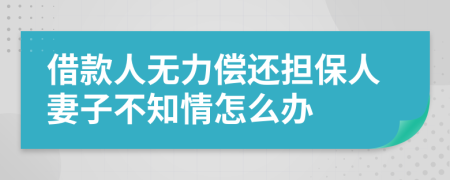 借款人无力偿还担保人妻子不知情怎么办