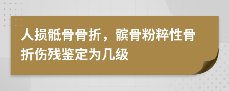 人损骶骨骨折，髌骨粉粹性骨折伤残鉴定为几级