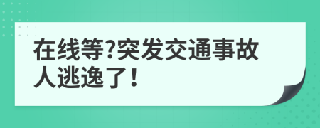 在线等?突发交通事故人逃逸了！