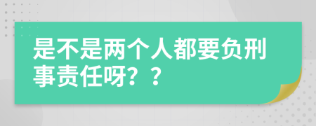 是不是两个人都要负刑事责任呀？？