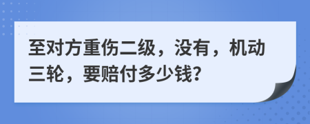 至对方重伤二级，没有，机动三轮，要赔付多少钱？