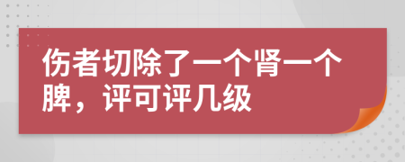 伤者切除了一个肾一个脾，评可评几级