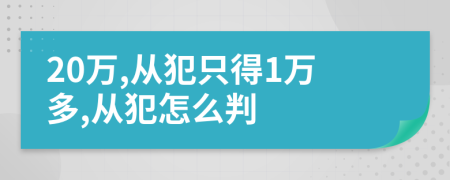 20万,从犯只得1万多,从犯怎么判