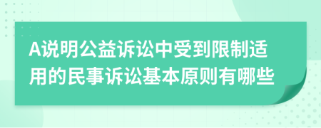 A说明公益诉讼中受到限制适用的民事诉讼基本原则有哪些