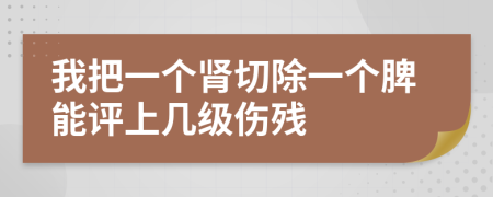 我把一个肾切除一个脾能评上几级伤残