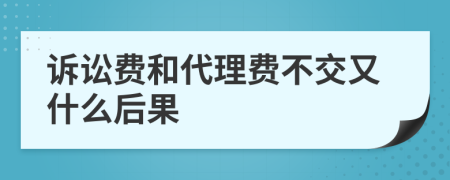 诉讼费和代理费不交又什么后果