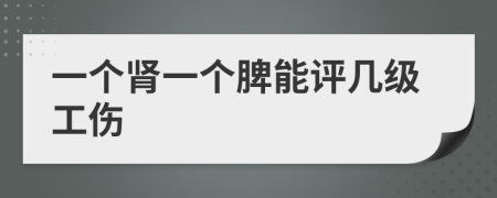 一个肾一个脾能评几级工伤