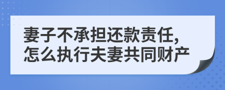 妻子不承担还款责任,怎么执行夫妻共同财产