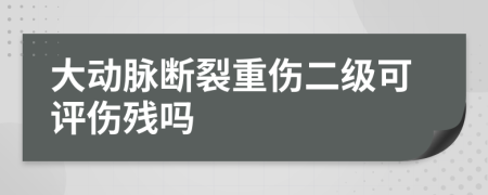 大动脉断裂重伤二级可评伤残吗