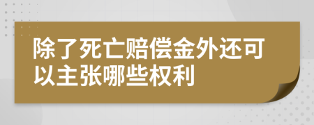 除了死亡赔偿金外还可以主张哪些权利