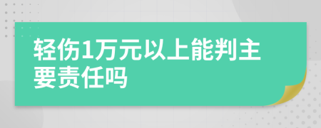 轻伤1万元以上能判主要责任吗