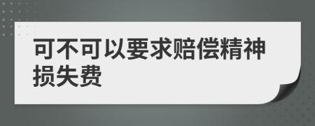 可不可以要求赔偿精神损失费