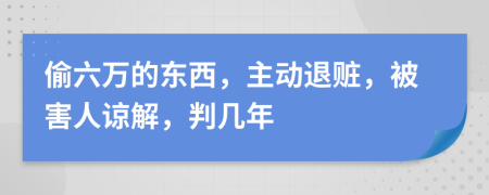 偷六万的东西，主动退赃，被害人谅解，判几年