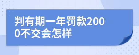 判有期一年罚款2000不交会怎样