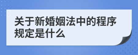 关于新婚姻法中的程序规定是什么