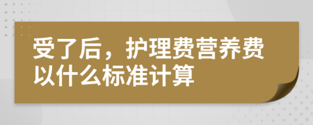 受了后，护理费营养费以什么标准计算