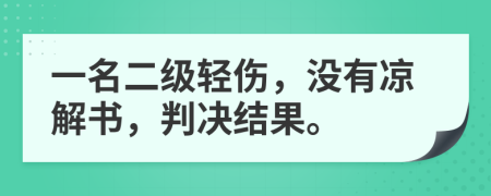 一名二级轻伤，没有凉解书，判决结果。