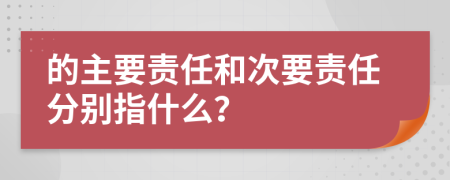 的主要责任和次要责任分别指什么？