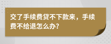 交了手续费贷不下款来，手续费不给退怎么办？