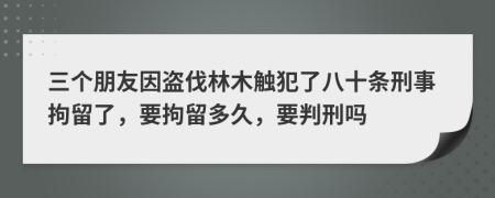 三个朋友因盗伐林木触犯了八十条刑事拘留了，要拘留多久，要判刑吗