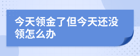 今天领金了但今天还没领怎么办