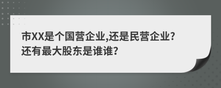 市XX是个国营企业,还是民营企业?还有最大股东是谁谁？