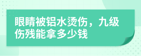 眼睛被铝水烫伤，九级伤残能拿多少钱