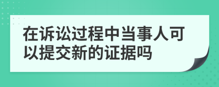 在诉讼过程中当事人可以提交新的证据吗