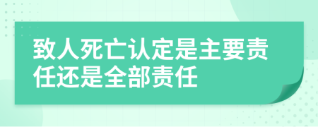 致人死亡认定是主要责任还是全部责任