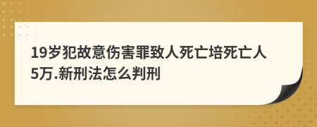 19岁犯故意伤害罪致人死亡培死亡人5万.新刑法怎么判刑