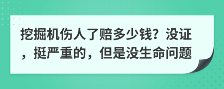 挖掘机伤人了赔多少钱？没证，挺严重的，但是没生命问题