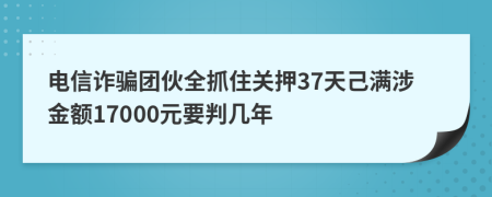 电信诈骗团伙全抓住关押37天己满涉金额17000元要判几年