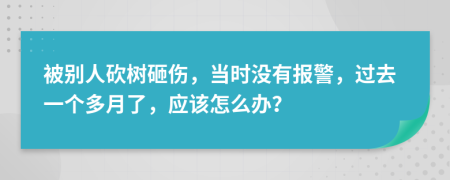 被别人砍树砸伤，当时没有报警，过去一个多月了，应该怎么办？