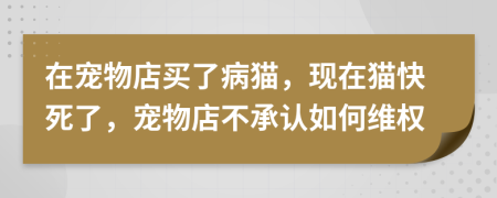 在宠物店买了病猫，现在猫快死了，宠物店不承认如何维权