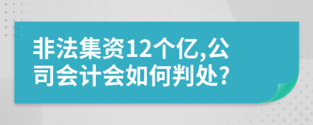 非法集资12个亿,公司会计会如何判处?