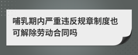 哺乳期内严重违反规章制度也可解除劳动合同吗