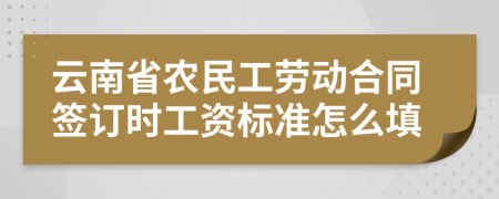 云南省农民工劳动合同签订时工资标准怎么填