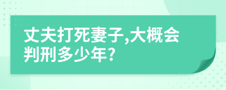 丈夫打死妻子,大概会判刑多少年?