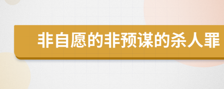 非自愿的非预谋的杀人罪