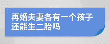 再婚夫妻各有一个孩子还能生二胎吗