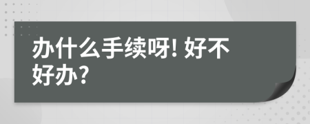 办什么手续呀! 好不好办?