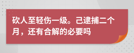 砍人至轻伤一级。己逮捕二个月，还有合解的必要吗