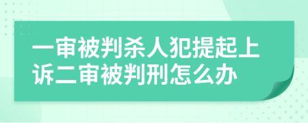 一审被判杀人犯提起上诉二审被判刑怎么办